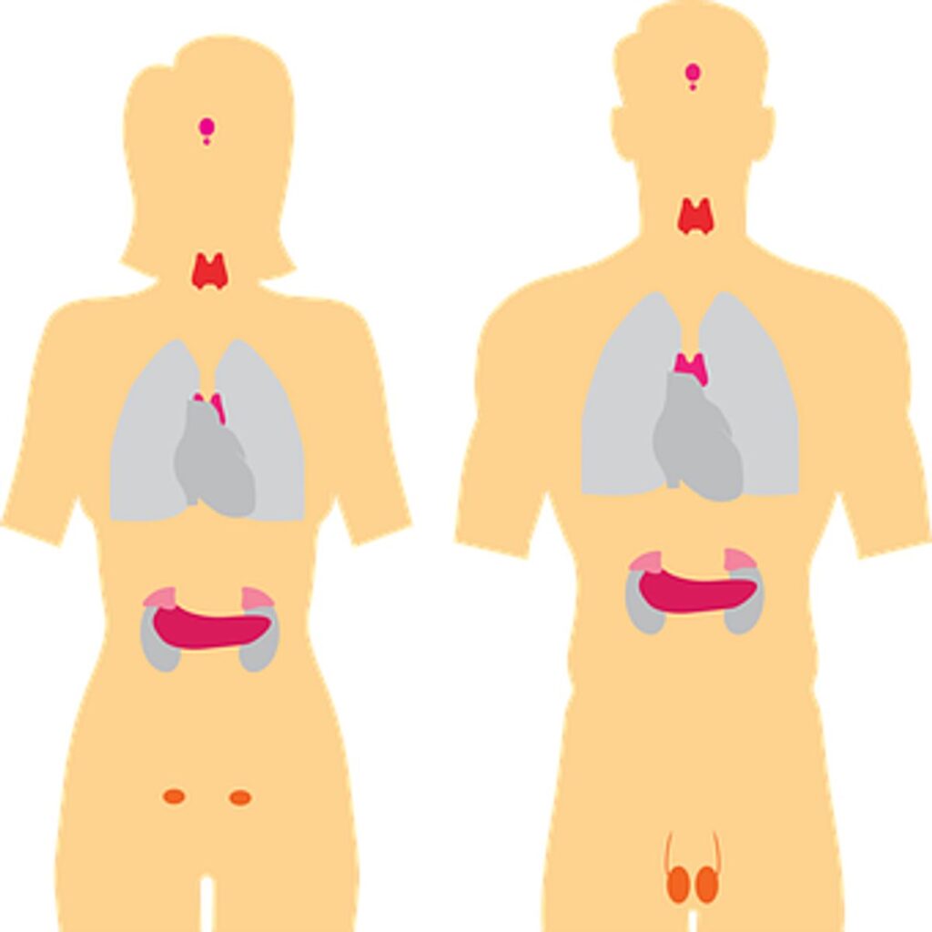 How to Detect Thyroid Disaster