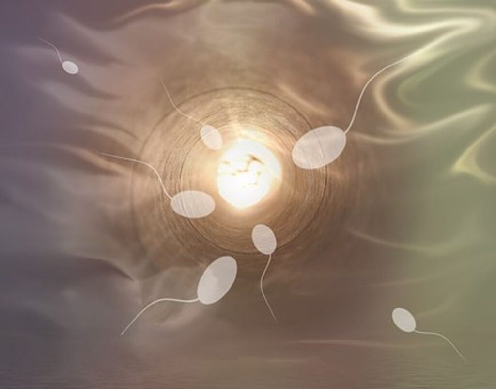 Selecting a Sperm Donor