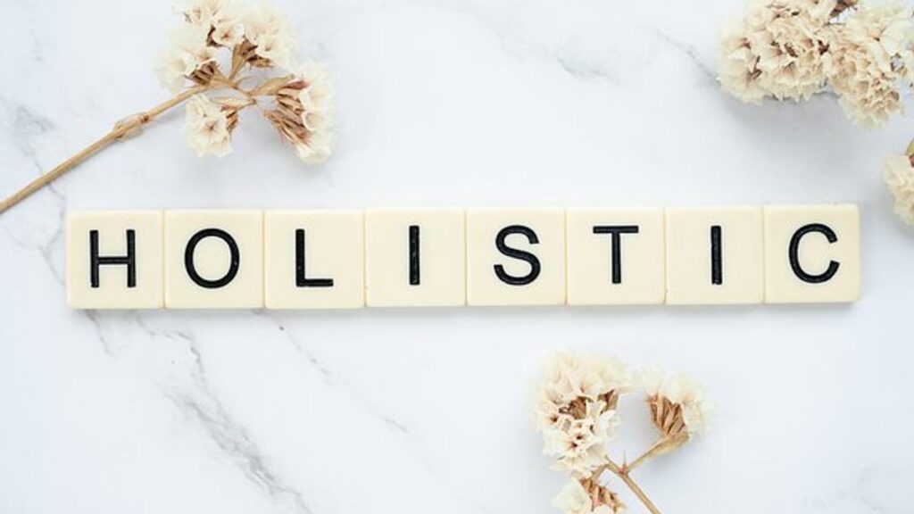 holistic meaning