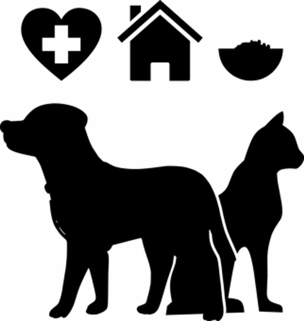 dog-insurance-reviews-find-out-which-dog-insurance-plans-are-right