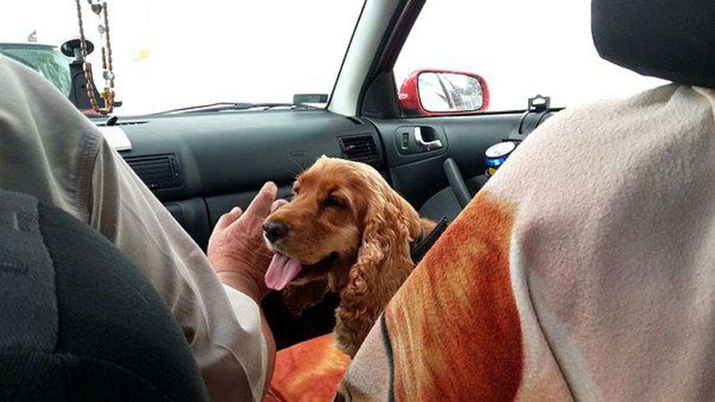How to Love Your Travelling Companions