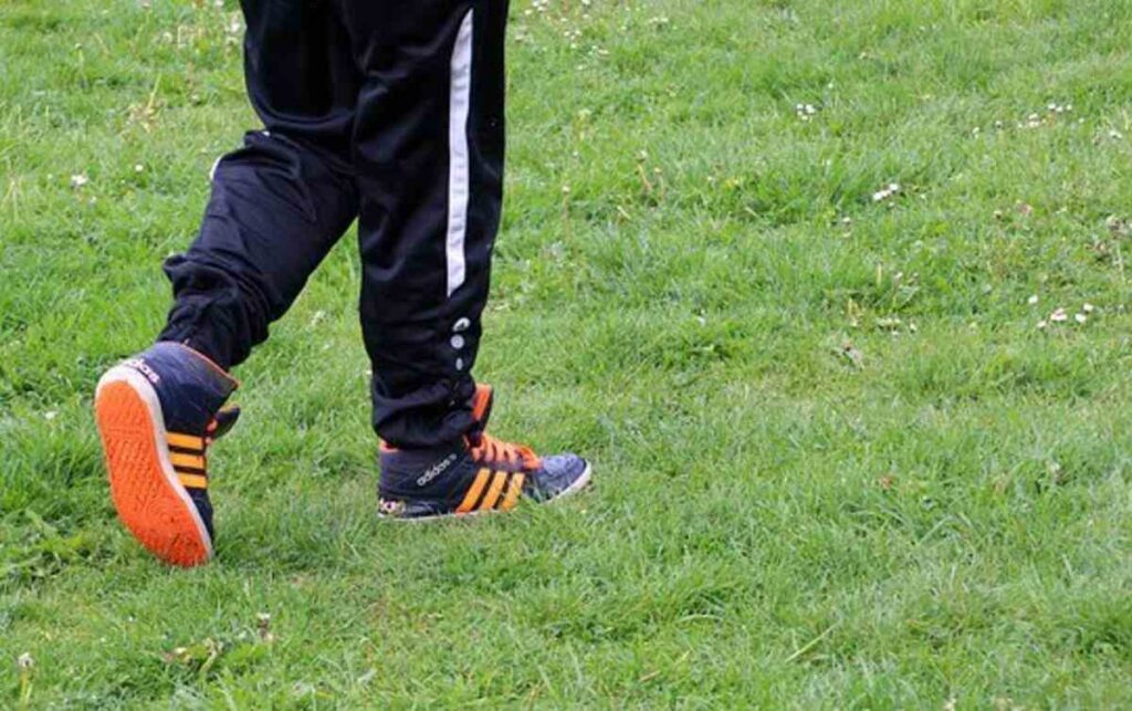 Montane Terra Pants Review