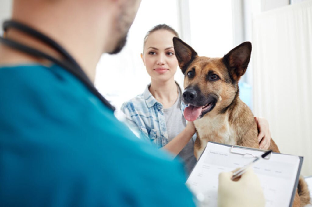 Geico Pet Insurance Reviews