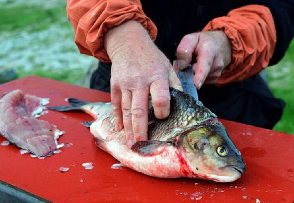 how to clean a fish