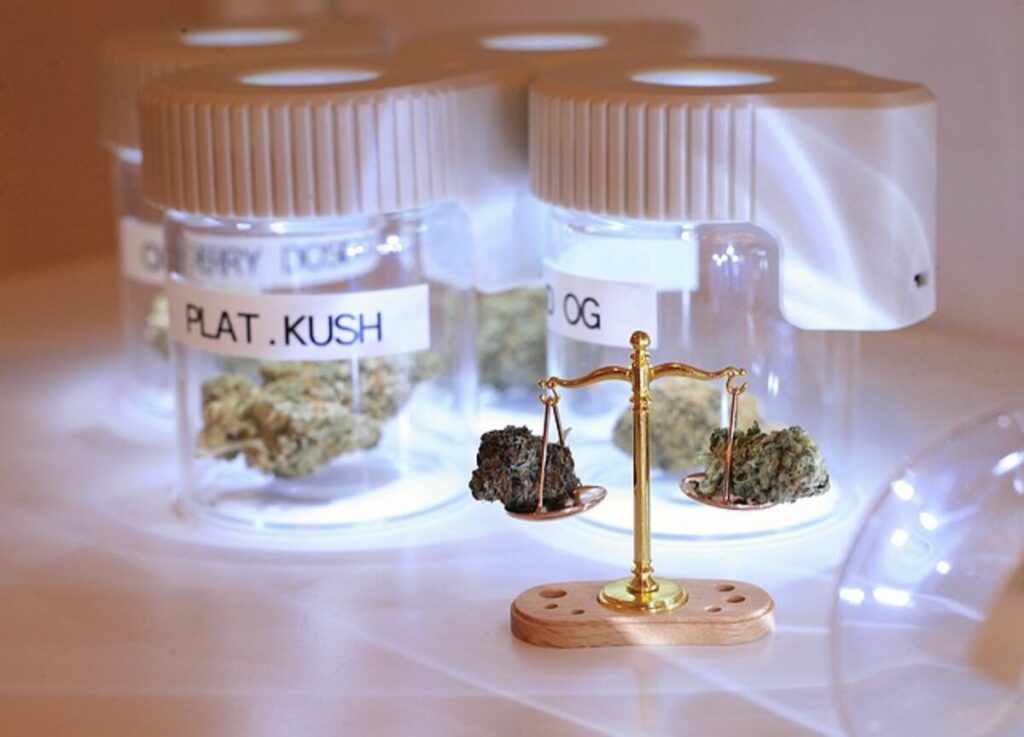florida weed laws