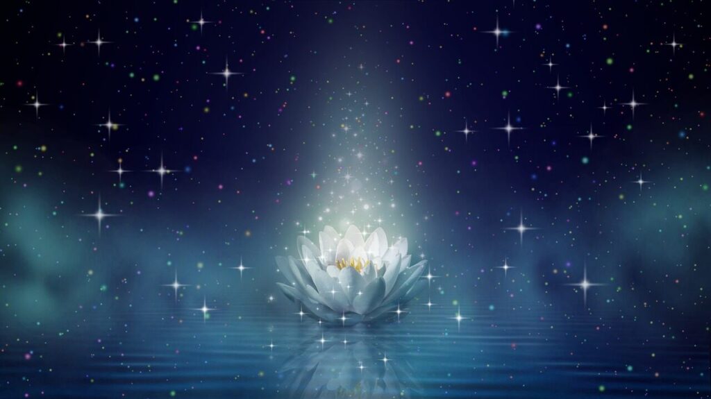 Lotus Plant Energy