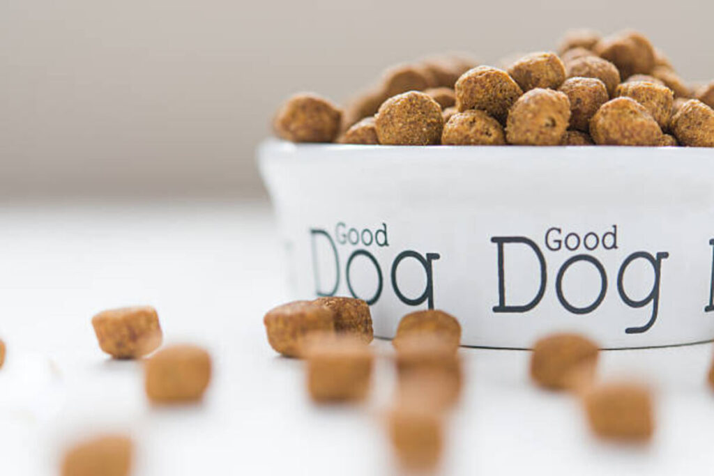 n & d dog food
