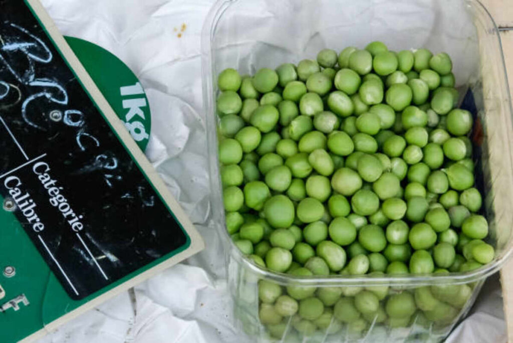 matrix food for soft