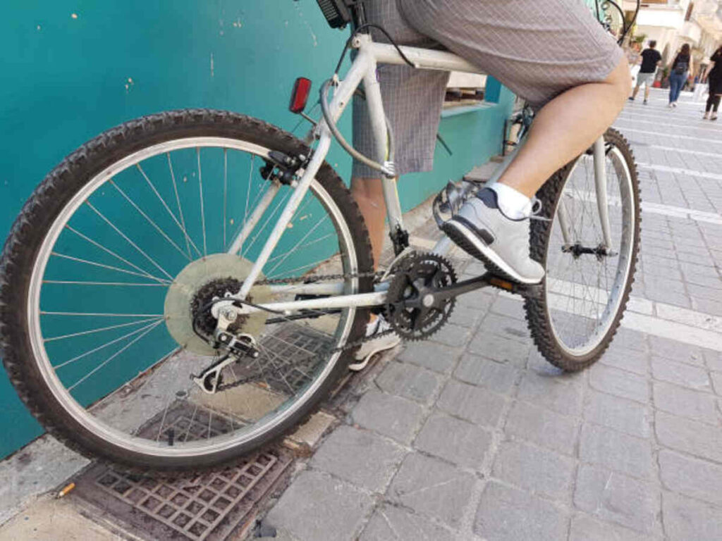 Giant Iguana Mountain Bikes