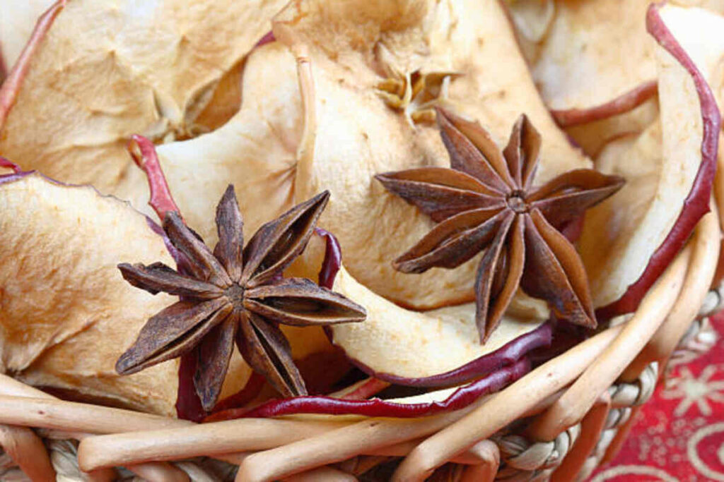 Star Fruit in Telugu