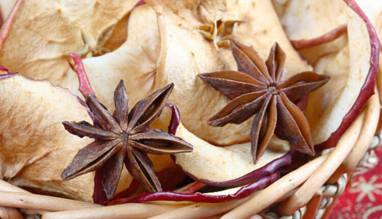 Star Fruit in Telugu
