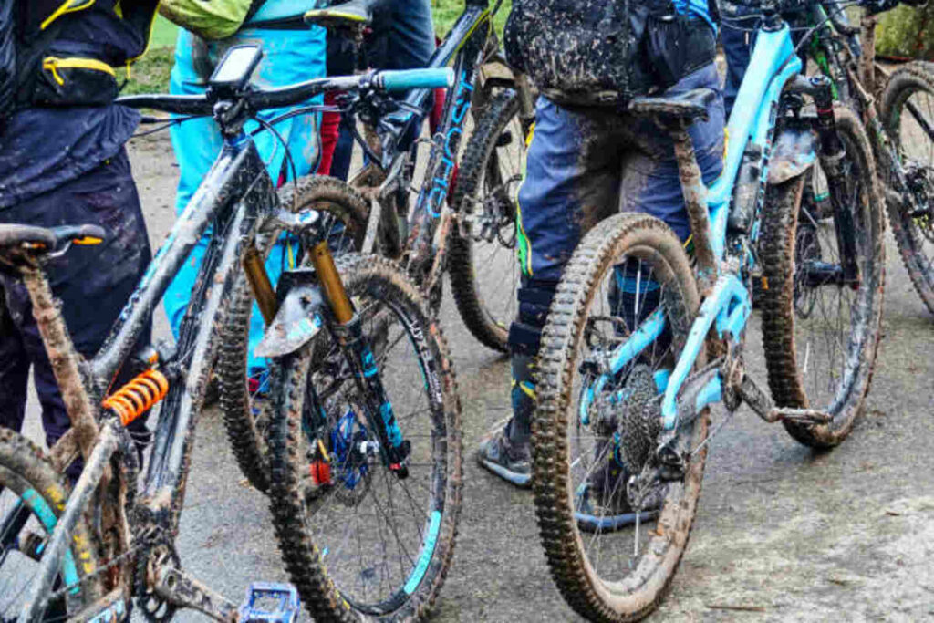 Giant Mountain Bike Iguana