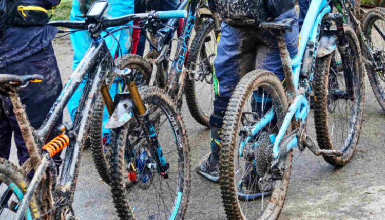 Giant Mountain Bike Iguana