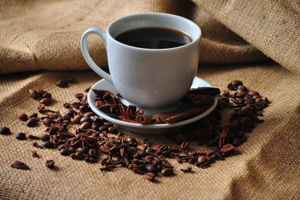 Coffee Bean Roaster Ultimate 10 – Coffee bean roaster insights